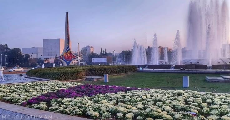 Syria Economic Recovery